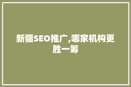 新疆SEO推广,哪家机构更胜一筹