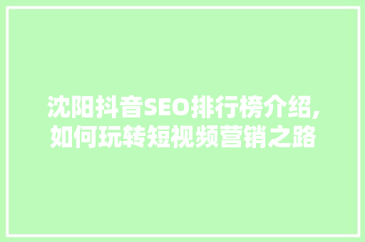 沈阳抖音SEO排行榜介绍,如何玩转短视频营销之路