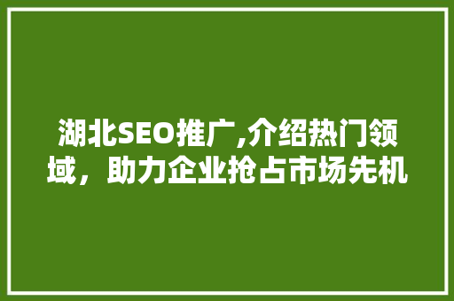 湖北SEO推广,介绍热门领域，助力企业抢占市场先机