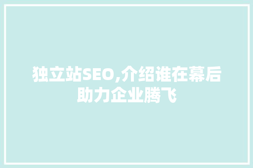 独立站SEO,介绍谁在幕后助力企业腾飞