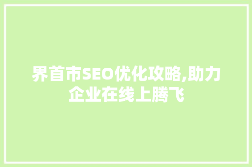 界首市SEO优化攻略,助力企业在线上腾飞