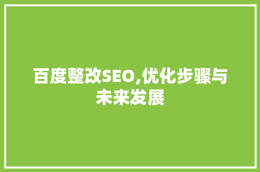 百度整改SEO,优化步骤与未来发展