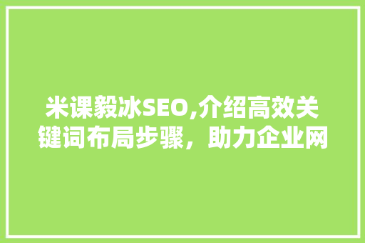 米课毅冰SEO,介绍高效关键词布局步骤，助力企业网站优化