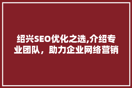 绍兴SEO优化之选,介绍专业团队，助力企业网络营销新篇章