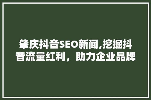 肇庆抖音SEO新闻,挖掘抖音流量红利，助力企业品牌升级