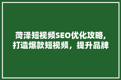 菏泽短视频SEO优化攻略,打造爆款短视频，提升品牌影响力