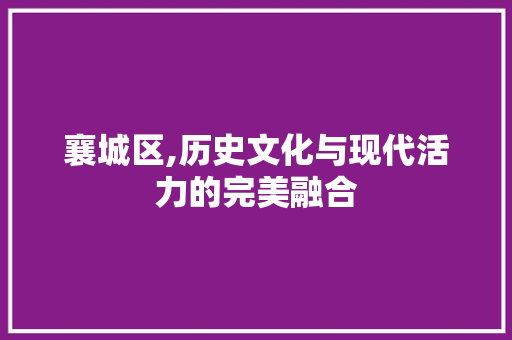 襄城区,历史文化与现代活力的完美融合