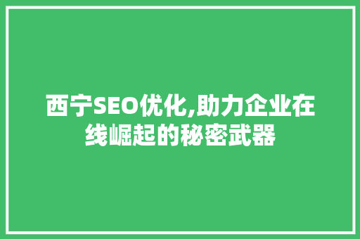 西宁SEO优化,助力企业在线崛起的秘密武器