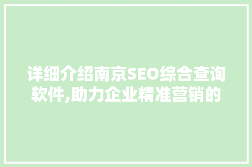 详细介绍南京SEO综合查询软件,助力企业精准营销的利器