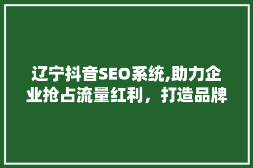 辽宁抖音SEO系统,助力企业抢占流量红利，打造品牌新高度