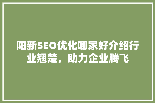 阳新SEO优化哪家好介绍行业翘楚，助力企业腾飞