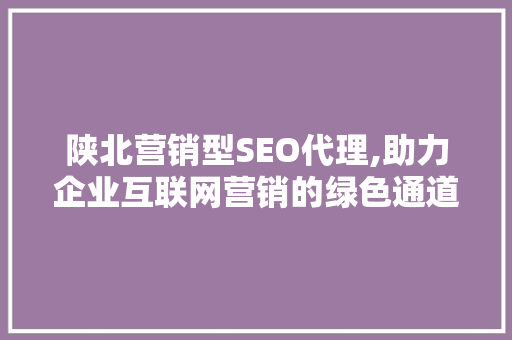 陕北营销型SEO代理,助力企业互联网营销的绿色通道