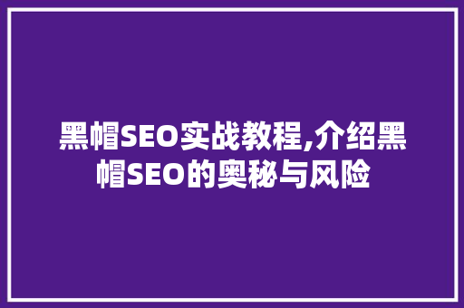 黑帽SEO实战教程,介绍黑帽SEO的奥秘与风险