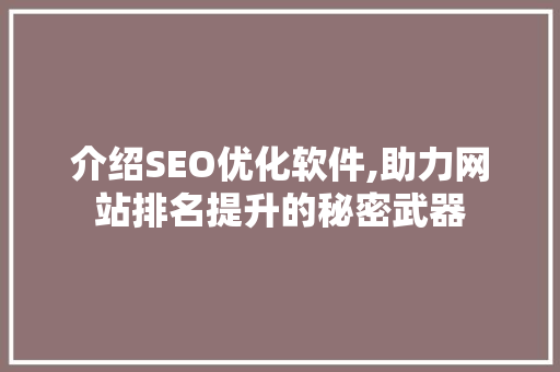 介绍SEO优化软件,助力网站排名提升的秘密武器