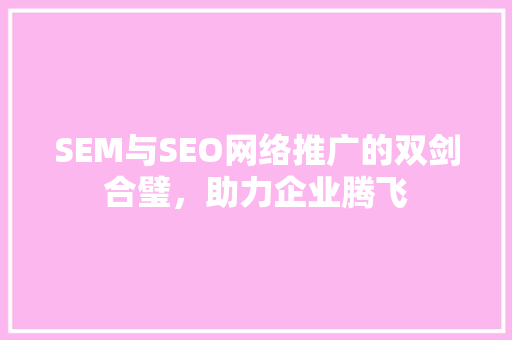 SEM与SEO网络推广的双剑合璧，助力企业腾飞