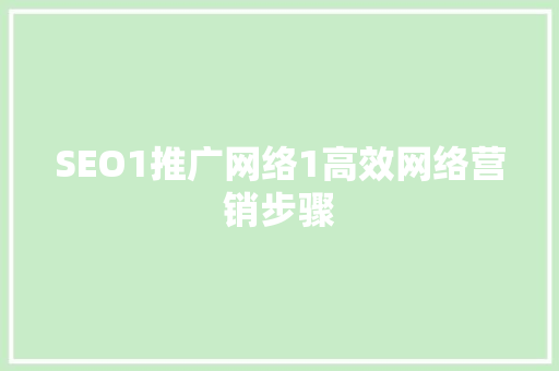 SEO1推广网络1高效网络营销步骤
