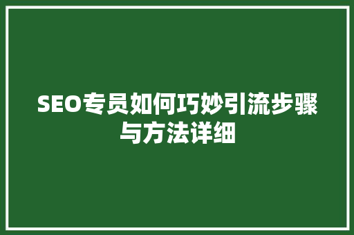 SEO专员如何巧妙引流步骤与方法详细