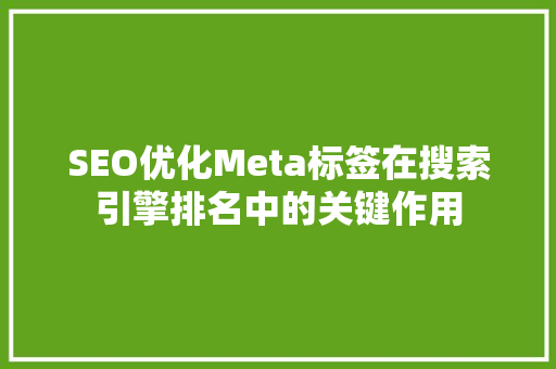 SEO优化Meta标签在搜索引擎排名中的关键作用