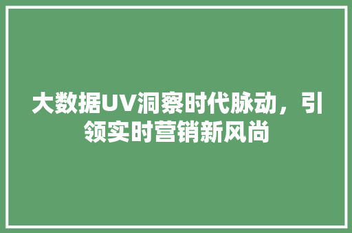 大数据UV洞察时代脉动，引领实时营销新风尚  第1张