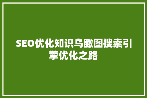 SEO优化知识乌瞰图搜索引擎优化之路