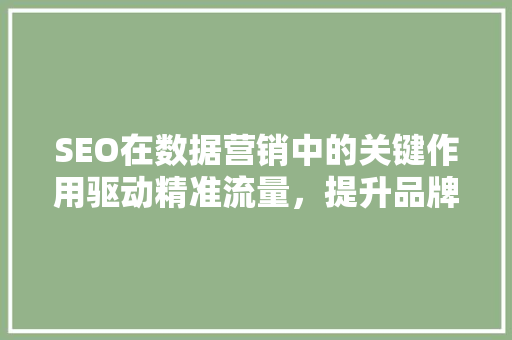 SEO在数据营销中的关键作用驱动精准流量，提升品牌竞争力
