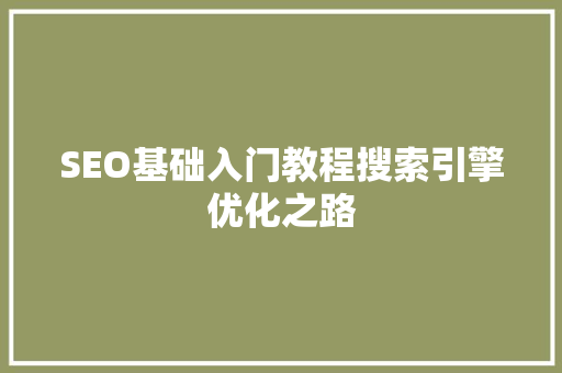SEO基础入门教程搜索引擎优化之路