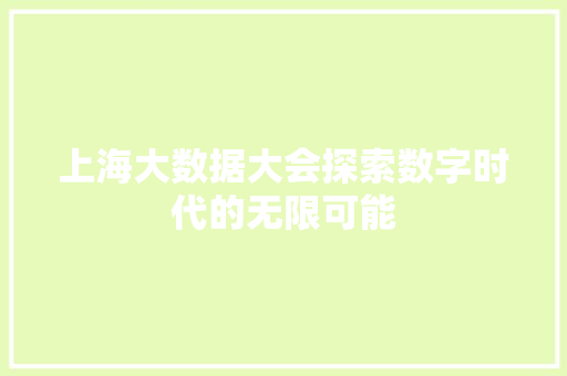 上海大数据大会探索数字时代的无限可能