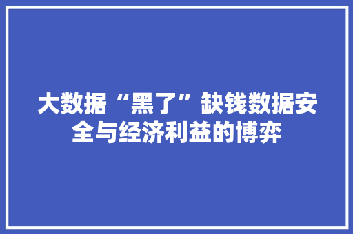 大数据“黑了”缺钱数据安全与经济利益的博弈