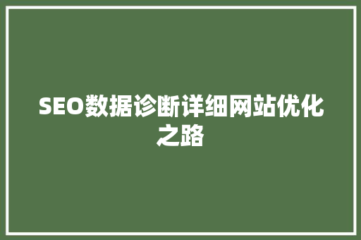 SEO数据诊断详细网站优化之路