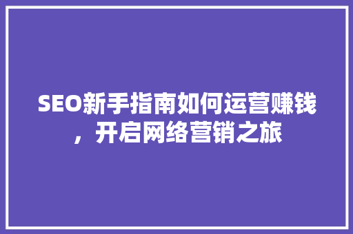 SEO新手指南如何运营赚钱，开启网络营销之旅