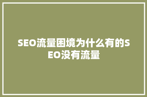 SEO流量困境为什么有的SEO没有流量