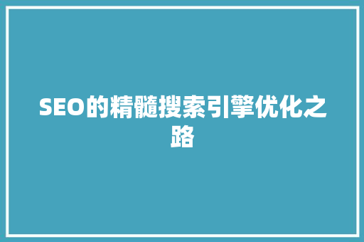 SEO的精髓搜索引擎优化之路
