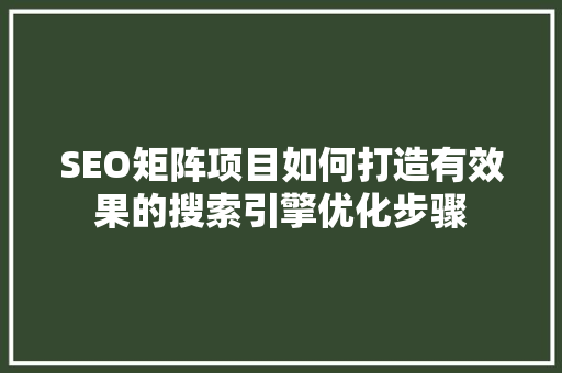 SEO矩阵项目如何打造有效果的搜索引擎优化步骤