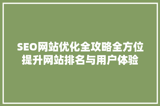 SEO网站优化全攻略全方位提升网站排名与用户体验