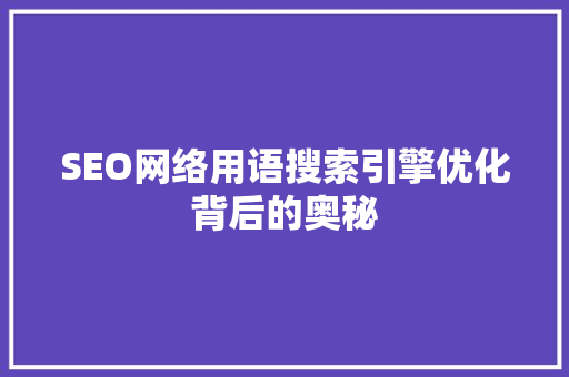SEO网络用语搜索引擎优化背后的奥秘