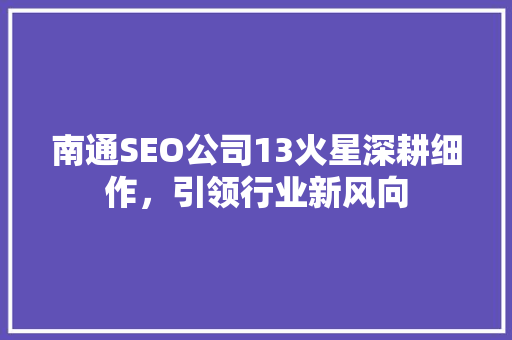南通SEO公司13火星深耕细作，引领行业新风向