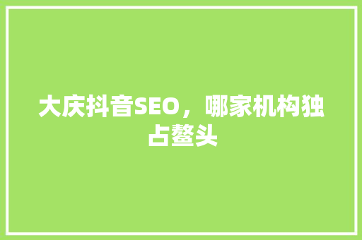大庆抖音SEO，哪家机构独占鳌头