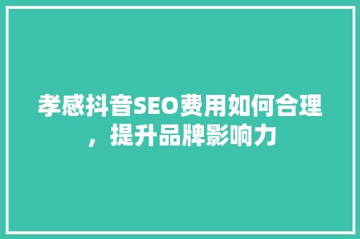 孝感抖音SEO费用如何合理，提升品牌影响力