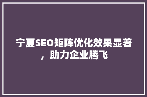宁夏SEO矩阵优化效果显著，助力企业腾飞