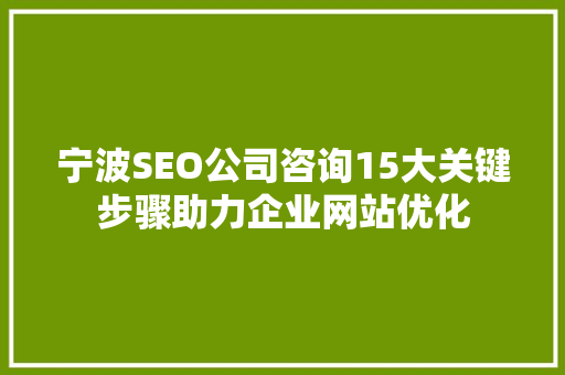 宁波SEO公司咨询15大关键步骤助力企业网站优化