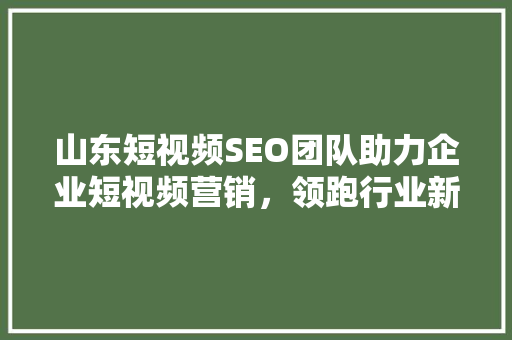 山东短视频SEO团队助力企业短视频营销，领跑行业新趋势