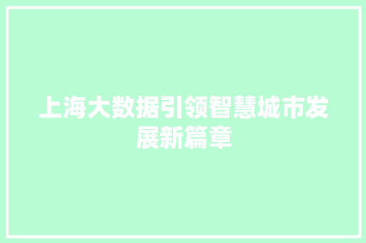 上海大数据引领智慧城市发展新篇章