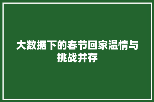 大数据下的春节回家温情与挑战并存  第1张