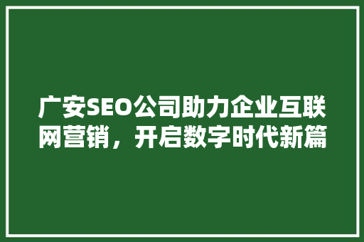 广安SEO公司助力企业互联网营销，开启数字时代新篇章  第1张