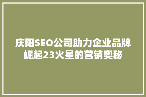 庆阳SEO公司助力企业品牌崛起23火星的营销奥秘