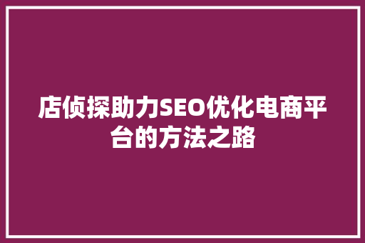 店侦探助力SEO优化电商平台的方法之路