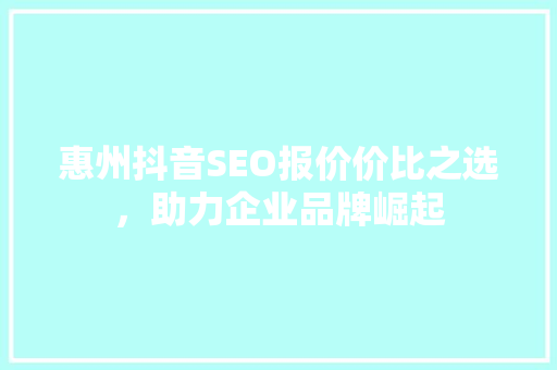 惠州抖音SEO报价价比之选，助力企业品牌崛起