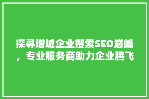 探寻增城企业搜索SEO巅峰，专业服务商助力企业腾飞之路