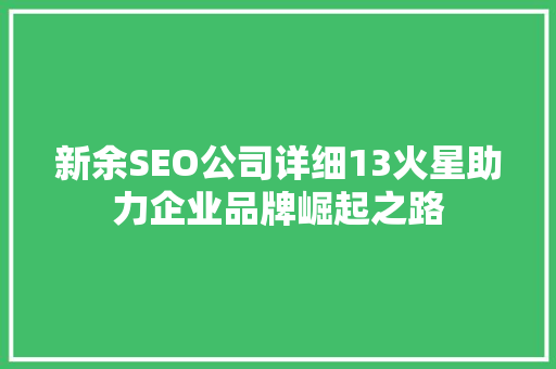 新余SEO公司详细13火星助力企业品牌崛起之路