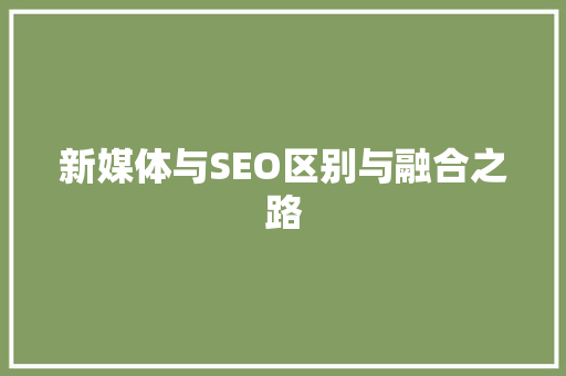 新媒体与SEO区别与融合之路
